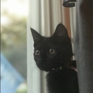 Meet your Posher, Kayla